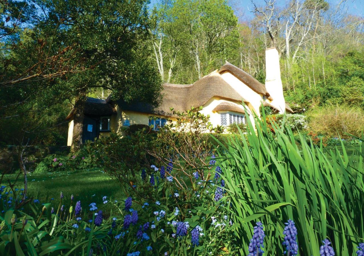 לינטון Southcliffe B&B מראה חיצוני תמונה